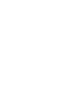 Image of Academy Award of Merit