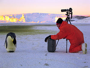 a photographer aiming the camera at a penguin